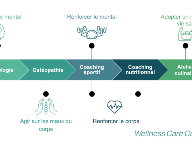 WELLNESS CARE COACHING